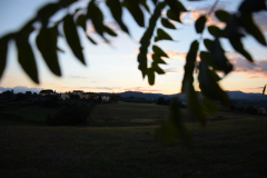 1_DSC_0013