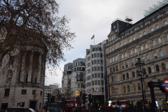 1_DSC_0022