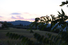 1_DSC_0029