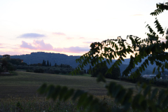 1_DSC_0032