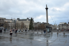 1_DSC_0035