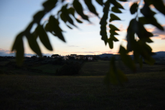 DSC_0012