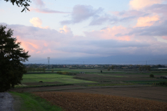 DSC_0025