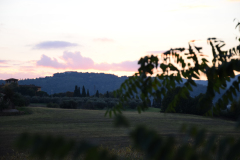 DSC_0027