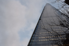 DSC_0087
