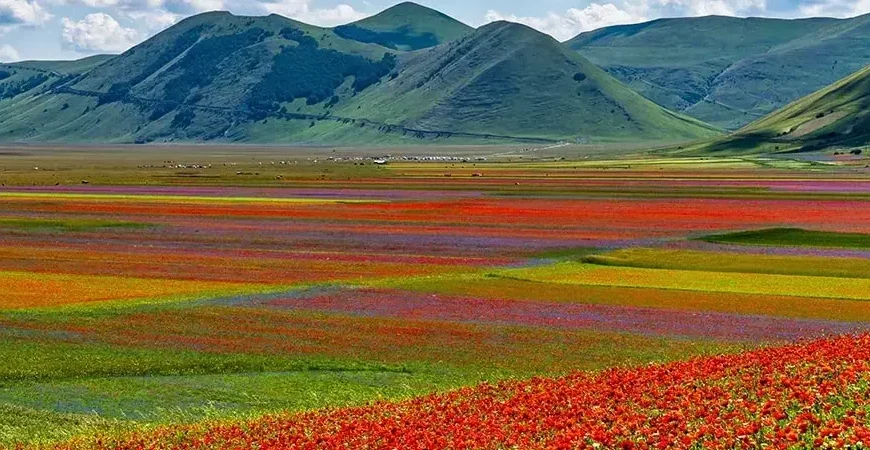 Le fioriture di Castelluccio e Norcia