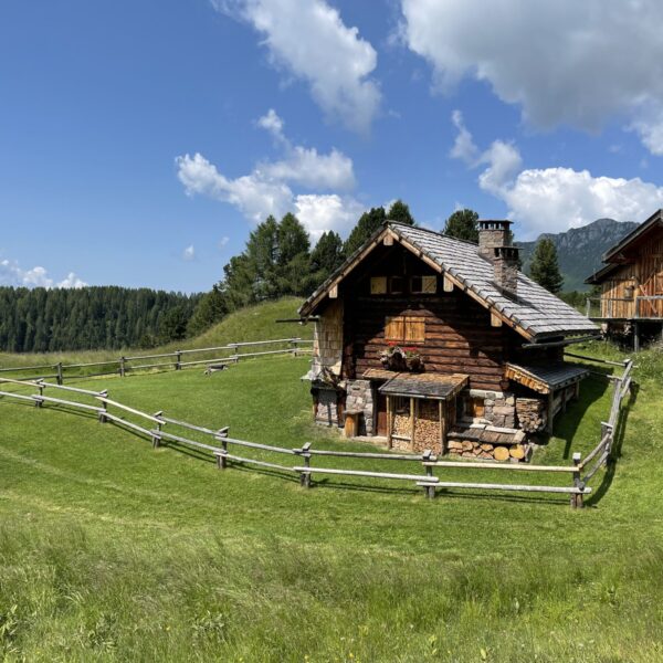 Settimana verde Luglio 2026 a MOENA